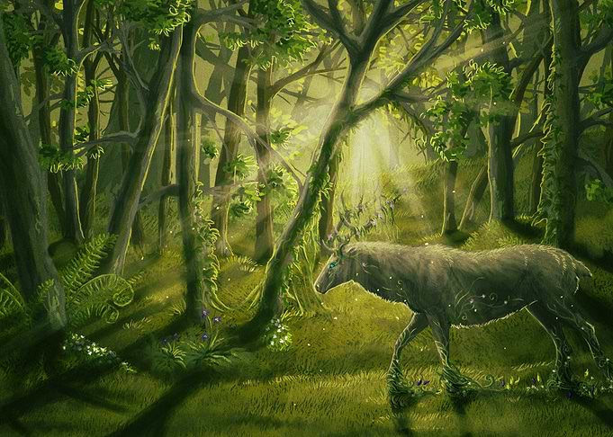 Deer
