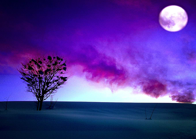 Moon