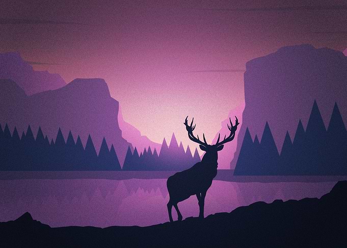 Deer