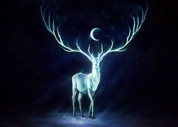 Deer