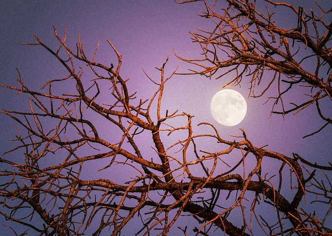 Moon