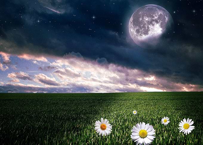Moon