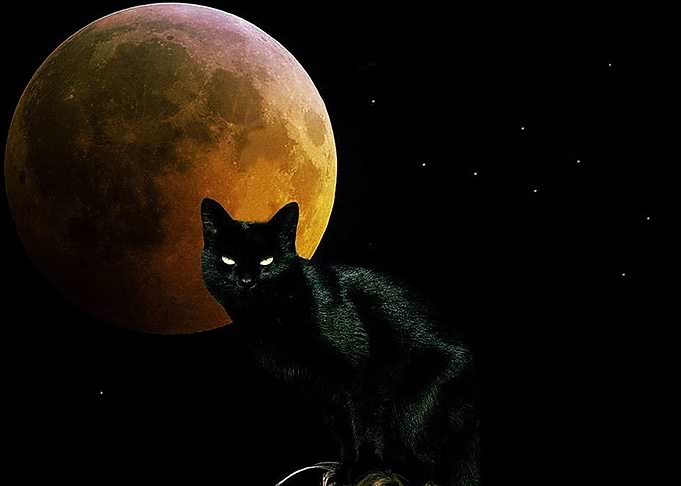 Moon