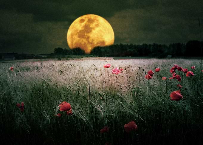 Moon