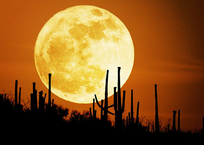 Moon