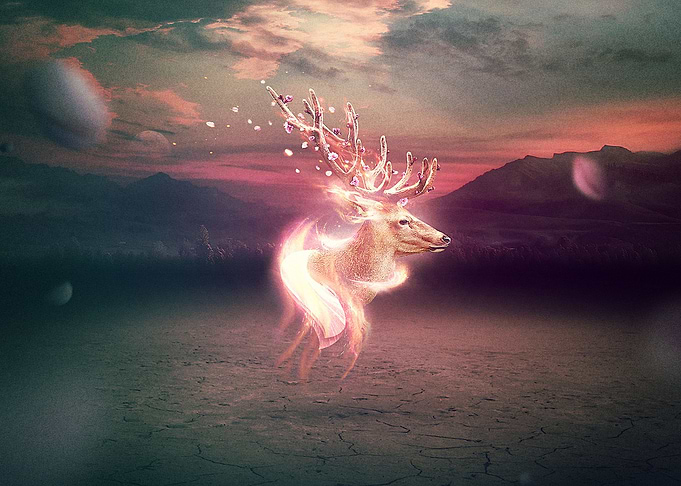 Deer