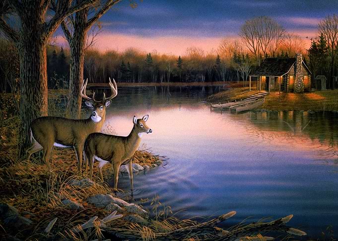 Deer
