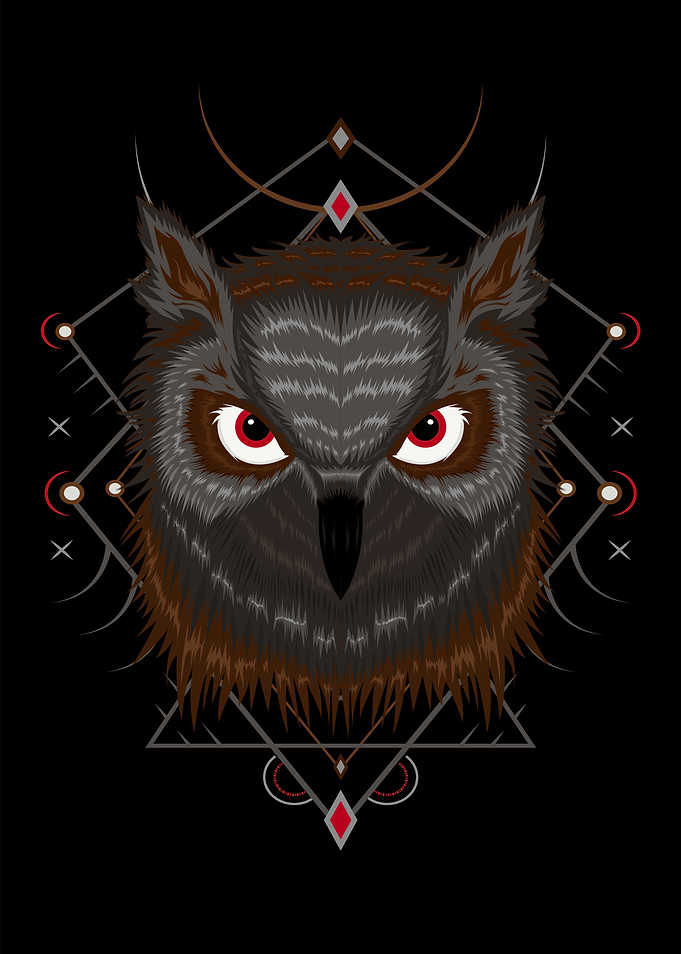 owl illustration vector