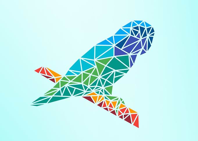 simple bird lowpolly