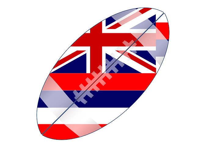 Hawaii State Football Flag