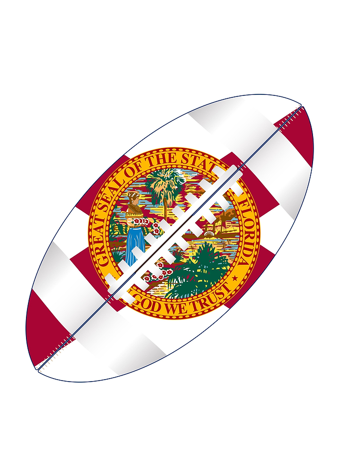 Florida USA Football Ball