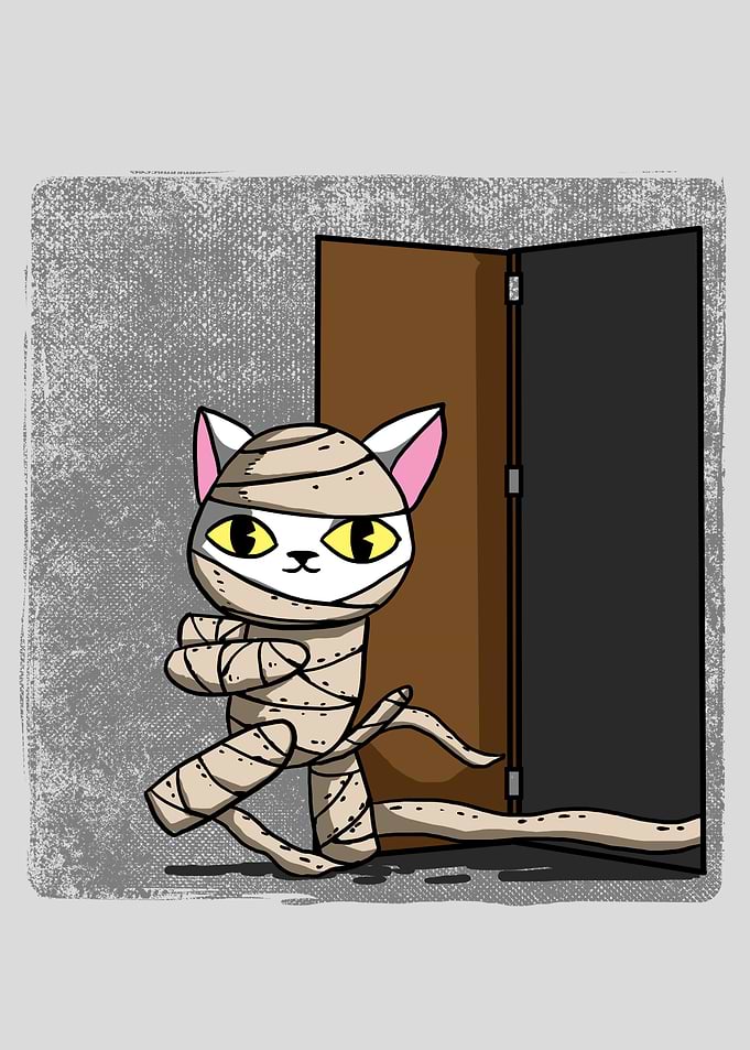 cat mummy