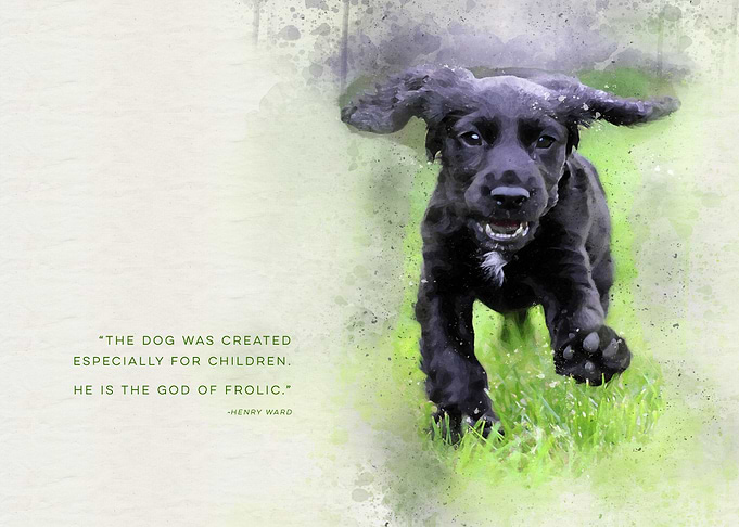 The God of Frolic