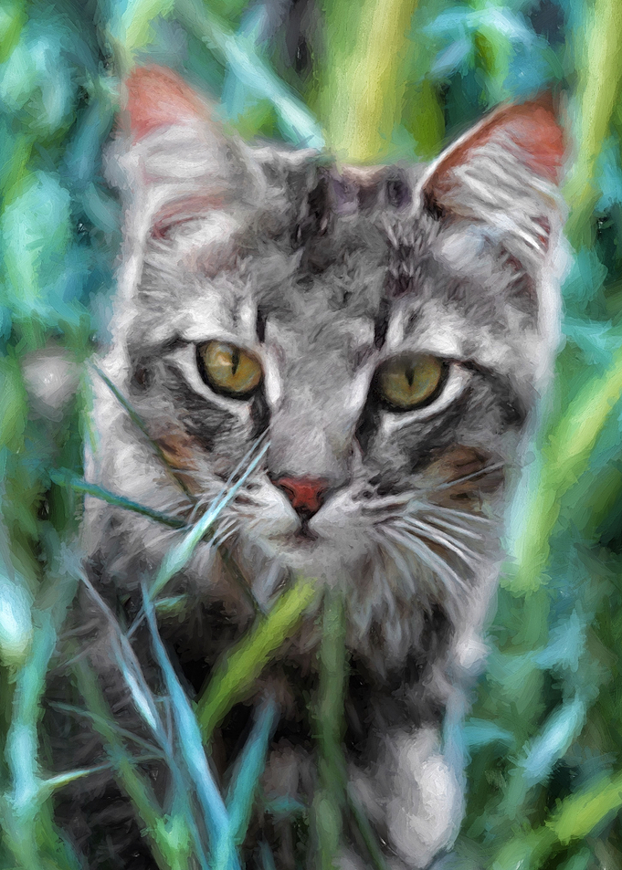 Cat in the Grass