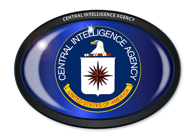 CIA Flag Oval