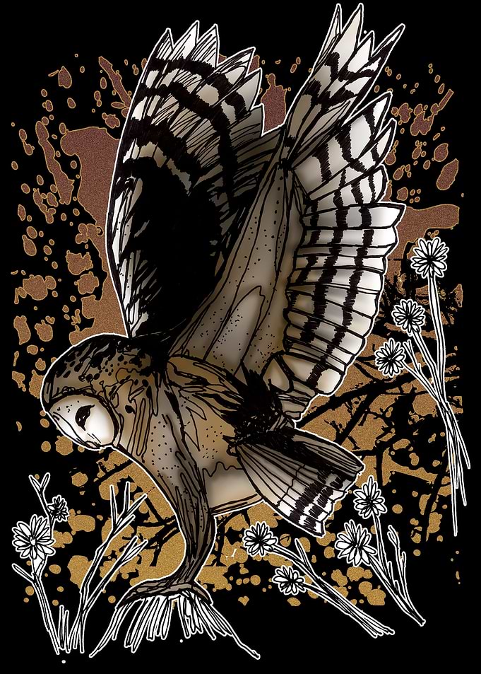 Barn Owl Stance