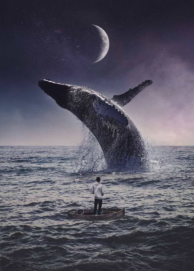 The Expedition