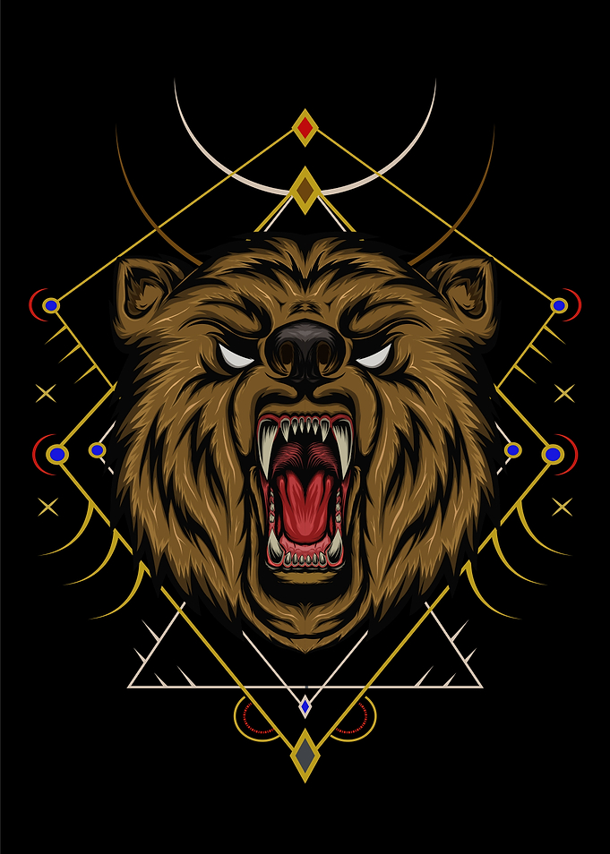 vector bear illustration