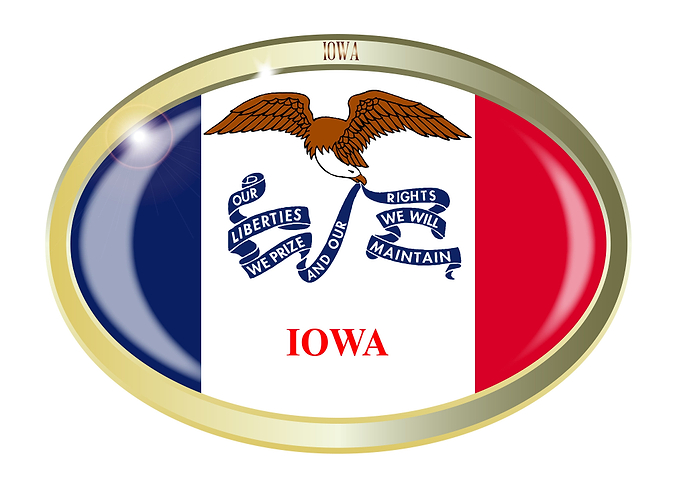 Iowa State Flag Button