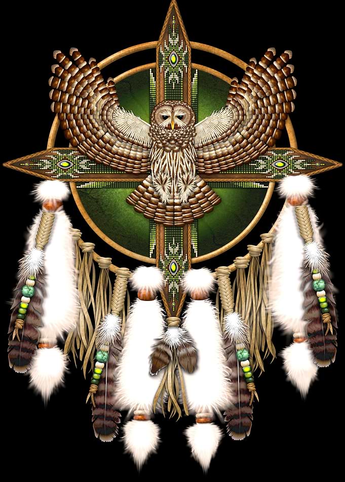 Native American Barred Owl
