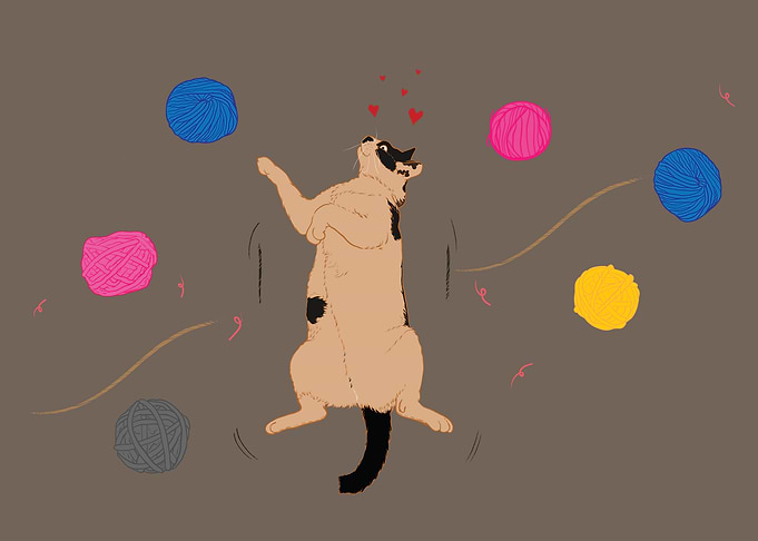 Naughty cat