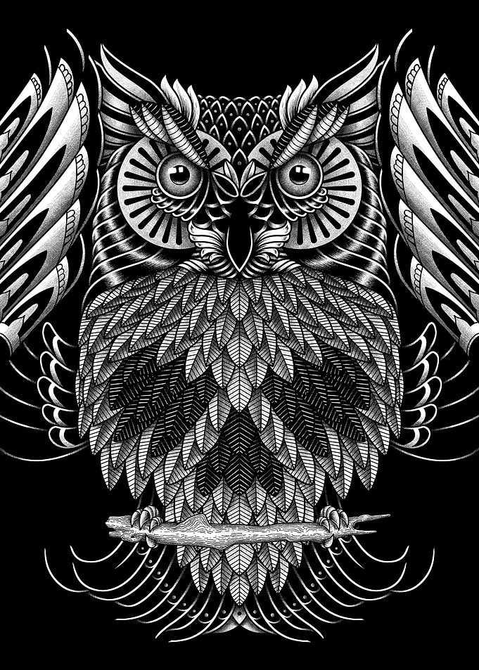 Owl Skull Ornate