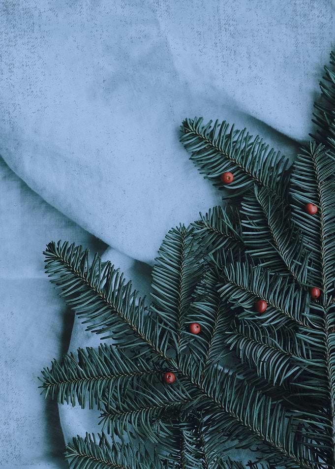 chrismas satan