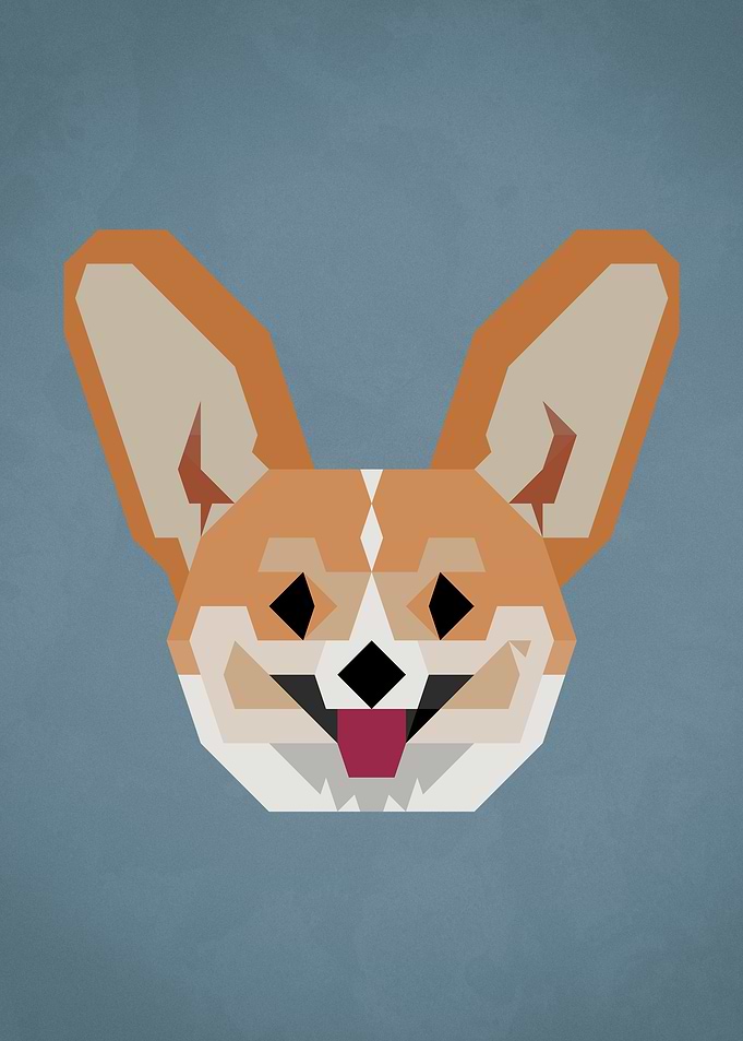 Corgi Face
