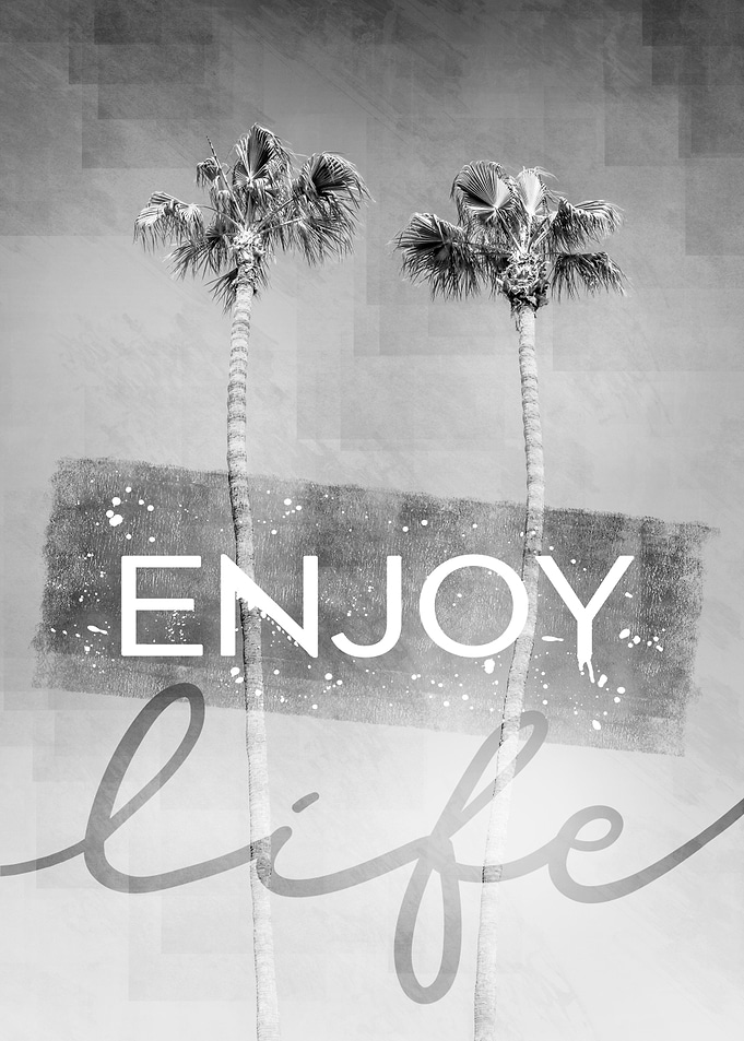 Palm trees enjoy life