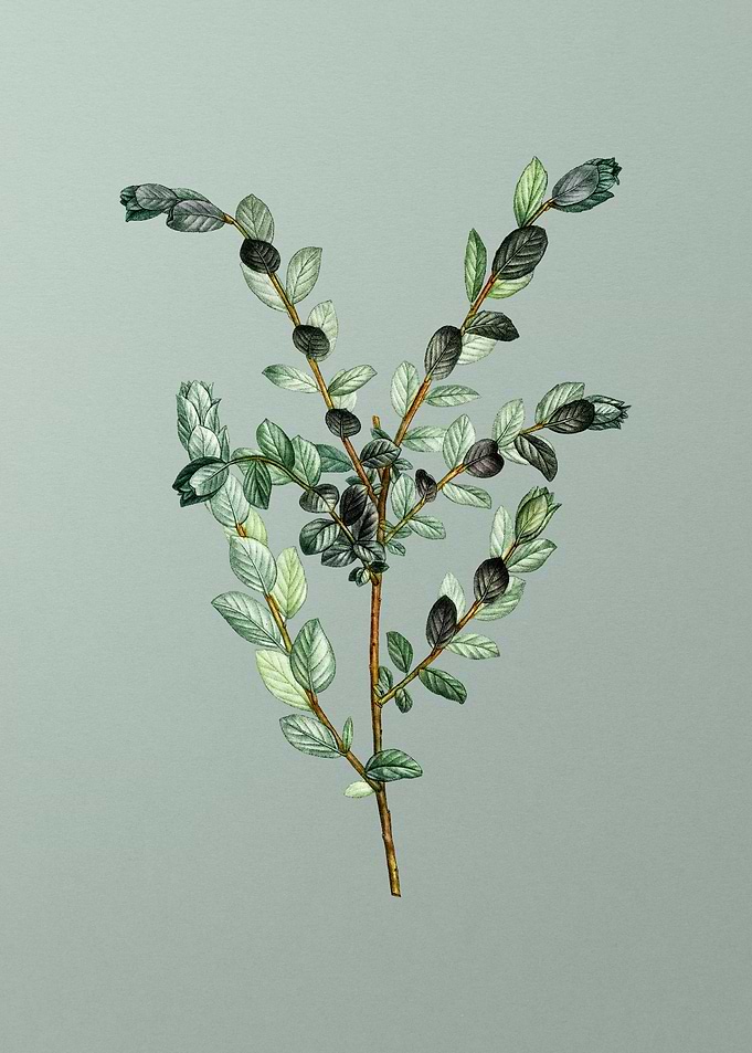 Vintage Flower on Green