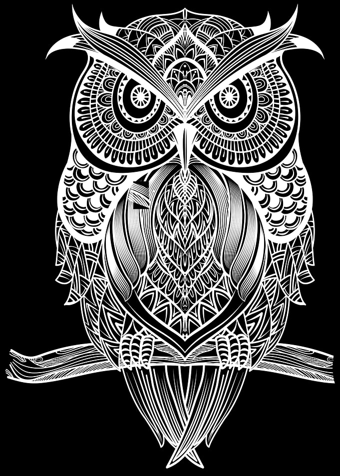 Decorative Owl White