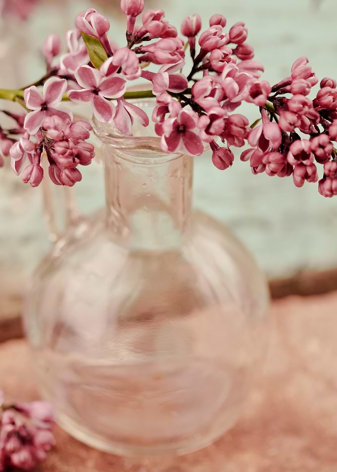 Lilac flower in a vase