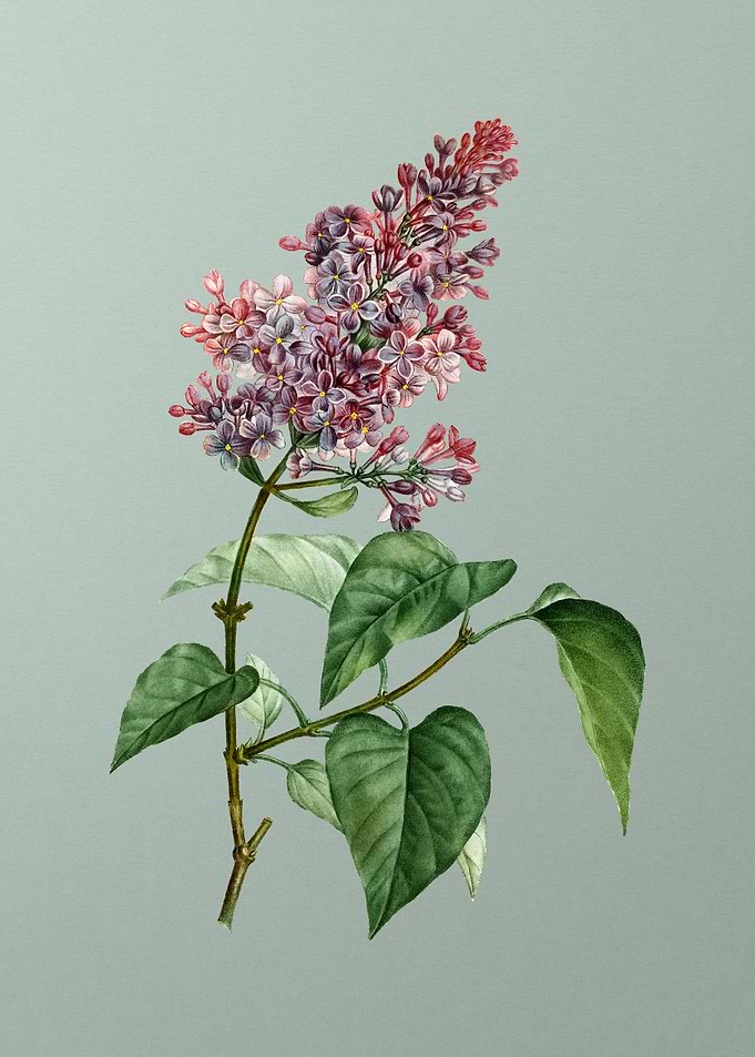 Classic Botanical on Green