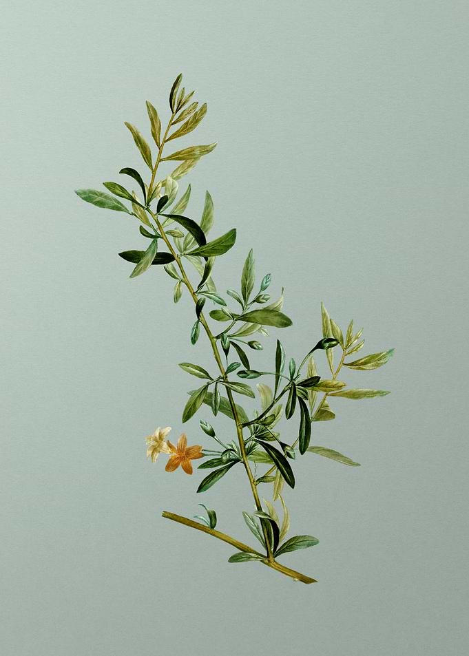 Antique Flower on Green