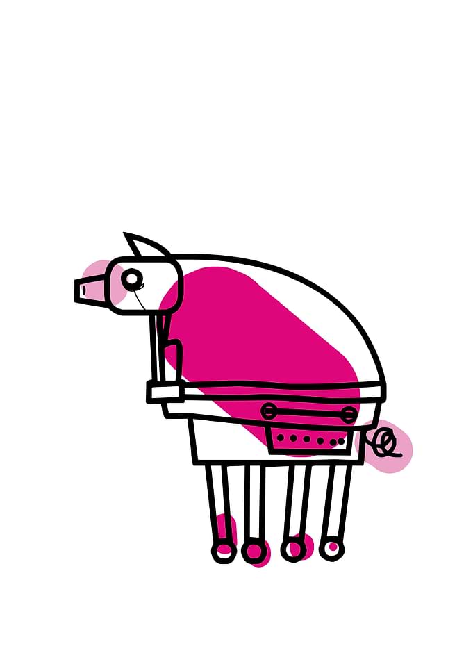 Pig