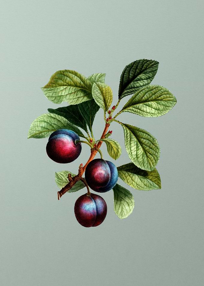 Classic Botanical on Green