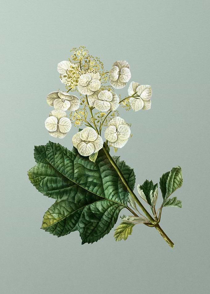 Classic Flower on Green