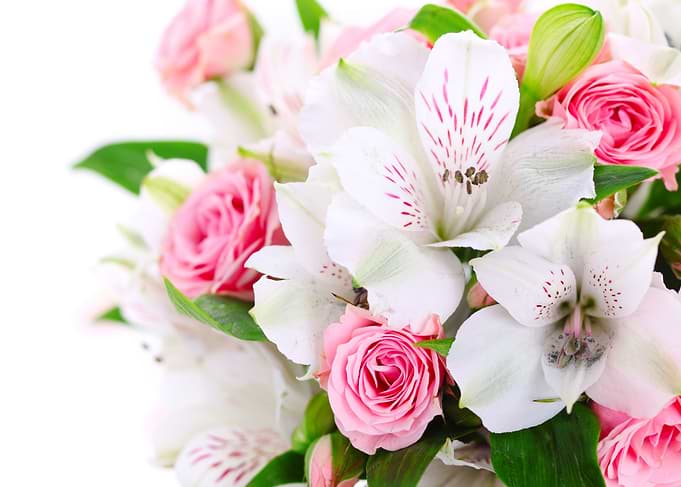 beauty of flowers