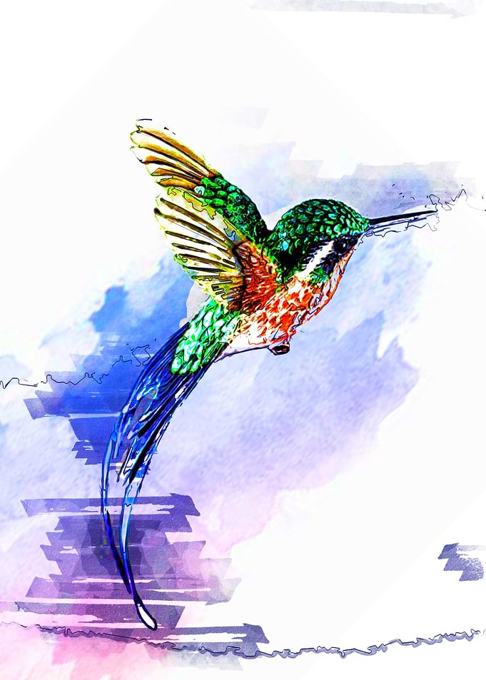 Hummingbird In Flight