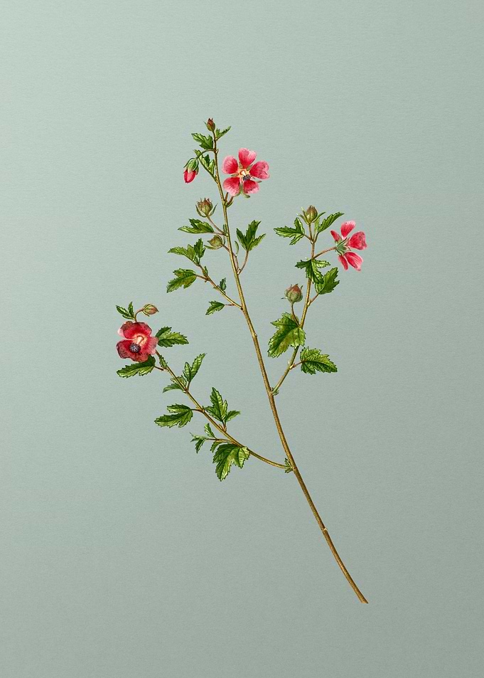 Classic Botanical on Green