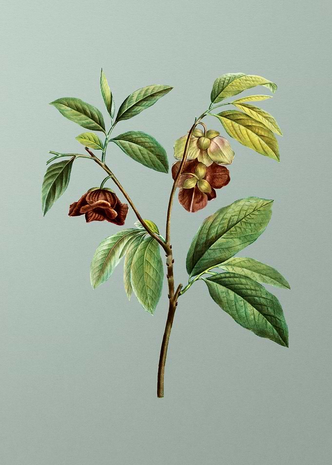 Classic Flower on Green