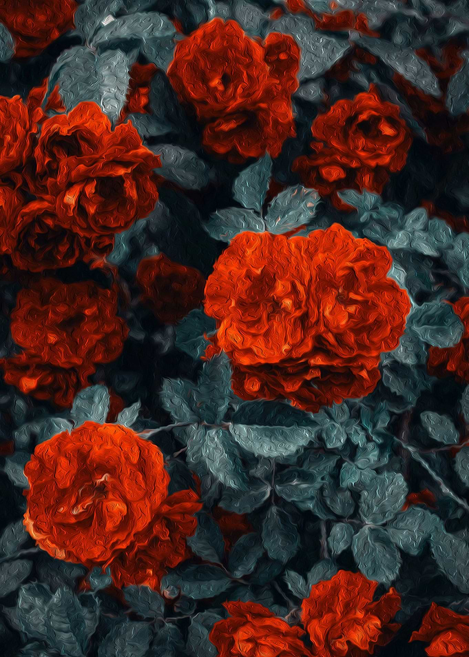 Roses