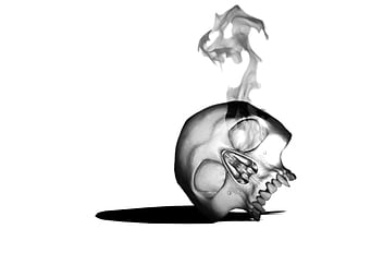 dark skull skeleton