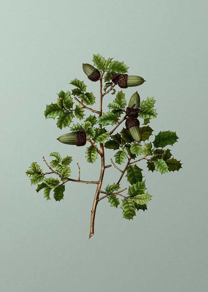 Antique Flower on Green