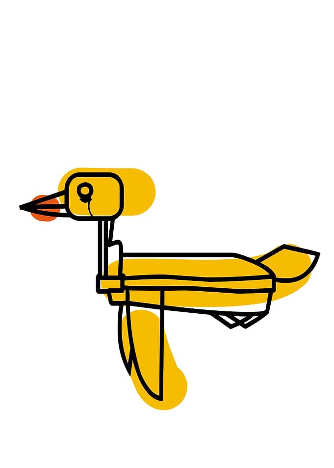 Duck