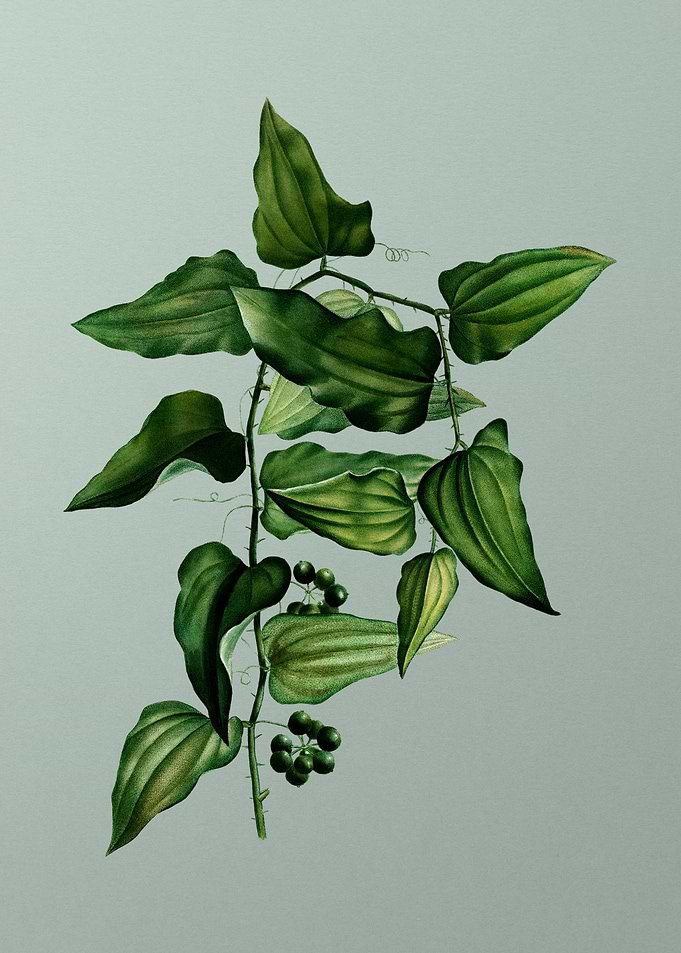 Vintage Flower on Green