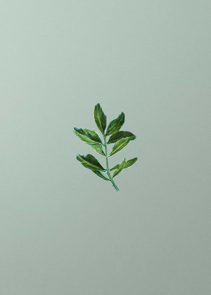 Classic Botanical on Green