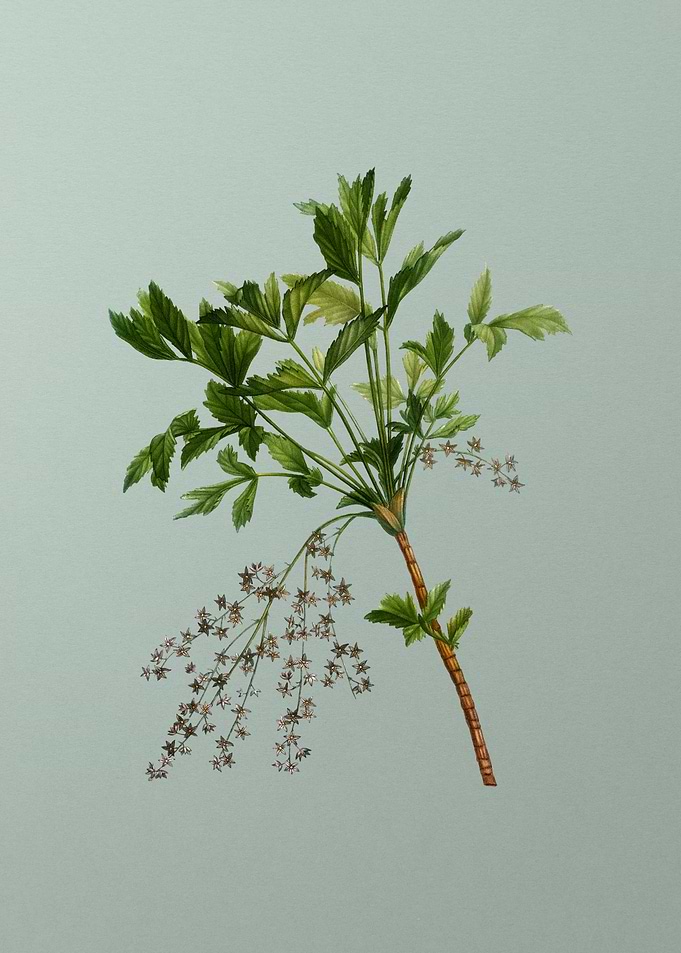 Floral Drawing on Green
