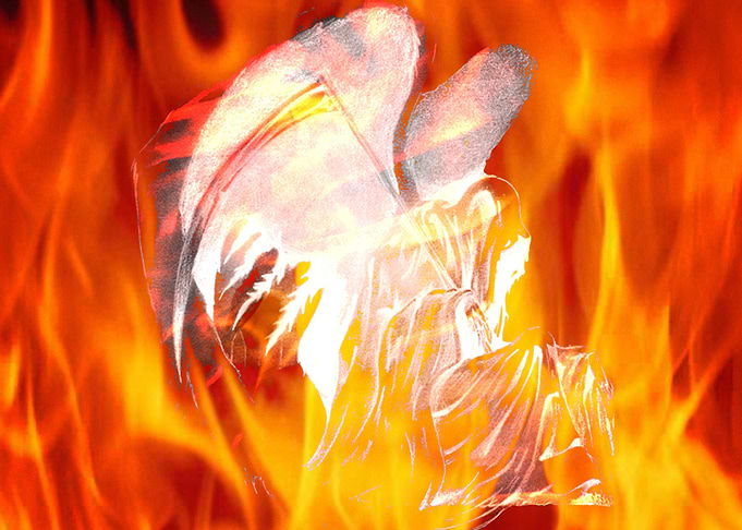 fantasy Angel