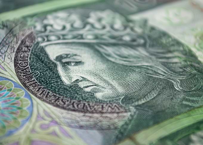 Polish zloty macro photo